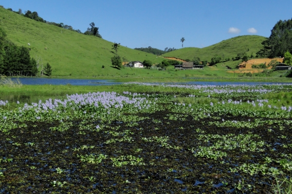 Reservatório de Água Santa Maria