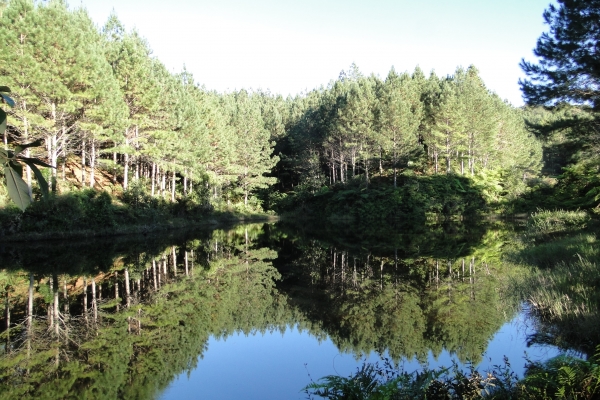 Reservatório de Água São João